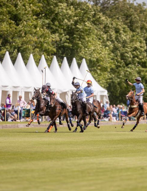 The Gloucestershire Festival of Polo